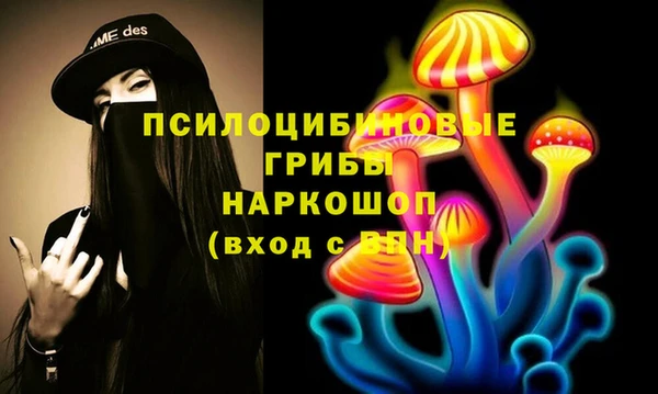 стафф Белокуриха