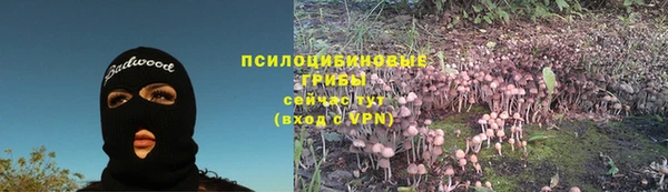 стафф Белокуриха